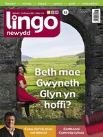 Lingo Newydd